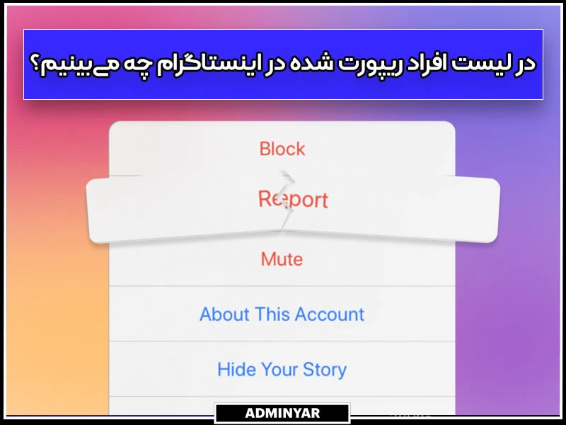 در لیست افراد ریپورت شده در اینستاگرام چه می‌بینیم؟
